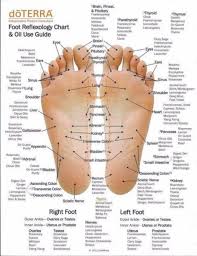 31 Printable Foot Reflexology Charts Maps Best Diagram