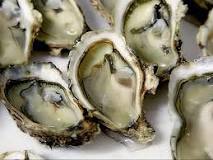 When should you not eat oysters?