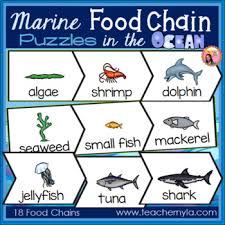 Without seabirds as a food source, sharks also lose an important component to their diet when their however, without strong conservation efforts to protect the food chain of the sharks, even with the. Shark Food Chain Worksheets Teaching Resources Tpt