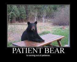 Patient Bear / Bear Sitting At Table | Know Your Meme via Relatably.com