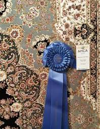 marcella fine rugs winner in the 2016