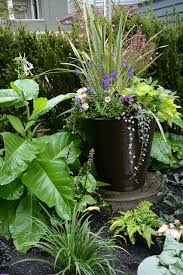 Beautiful Container Gardens For Shady Spots