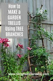 Easy Diy Garden Decor Using Tree