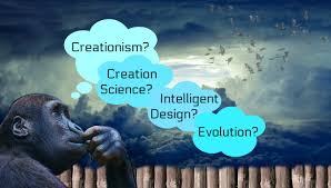 What Are The Differences Between Evolution And Creationism
