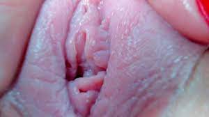 Pussy Spread Extreme Close-up - Pornhub.com
