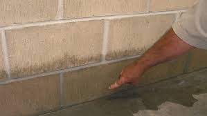 Learn How To Waterproof Basement Walls