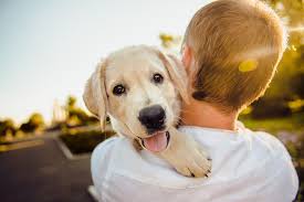 People love their animals so much so that they put little clothes on them and necklaces and booties and things like that. People Who Love Animals More Than People Psychology Of Empathy Betterhelp