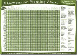 Companion Planting Chart Garden With Companion Plants
