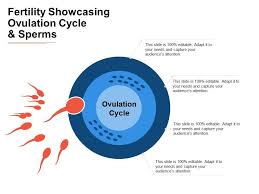 Fertility Showcasing Ovulation Cycle And Sperms