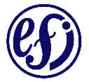 Image result for EFI logo