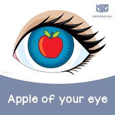 Now he wants to understand why. Idiom Land Idiom Of The Day Apple Of Your Eye Meaning The