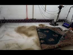 very dirty chinese superwash rug