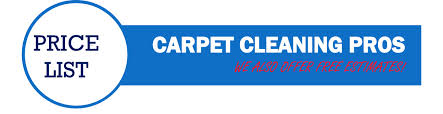 s augusta carpet cleaning pros