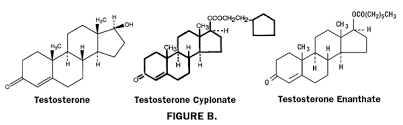 Hudsons Guide Testosterone Types And Delivery