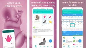 10 Best Pregnancy Apps And Pregnancy Tracker Apps For