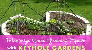 Keyhole Gardens Can Maximize Growing