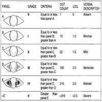 Grading Of Corneal And Conjunctival Staining In The Context
