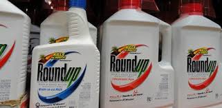 Roundup's patented fastact technology makes it so that you should see some results within about 12 hours. When To Plant After Using Roundup Glyphosate Weed Killer