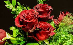 Képtalálat a következőre: „rózsa csokor kép”