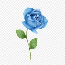 hand painted blue rose flower