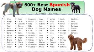 600 best spanish dog names