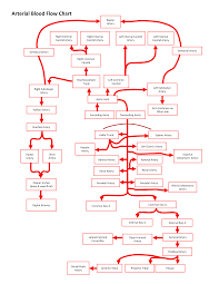 Flow Chart Pdf How To Create A Flow Chart Download This