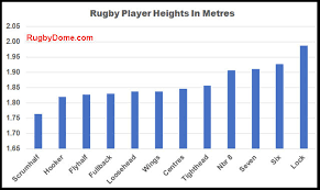 how tall are rugby players explained