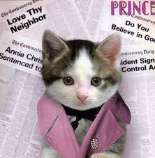 Kittens Cutest Kittens Prince Album Cover