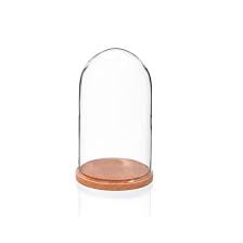 small glass display cover dome cloche