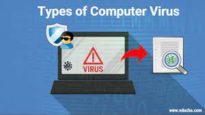Types of computer virus 3. Types Of Computer Virus Know 16 Common Types Of Computer Viruses