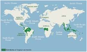 While they are closely tied to the geographical boundaries of the tropics, not all the land in the tropics is covered by tropical rainforests. Map Of The World S Rainforests Rainforest Map Rainforest Biome Rainforest