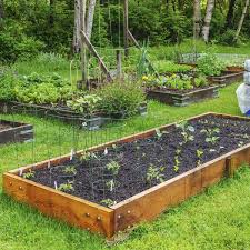 How To Make A Vegetable Bed Delicious