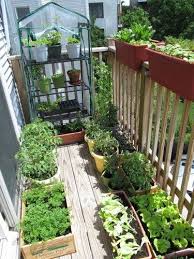 Balcony Garden Small Vegetable Gardens