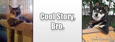 cool story bro cat dog facebook cover