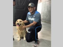 Image result for dhoni pets image
