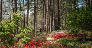 parks to explore in raleigh n c