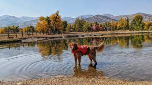 best dog parks in and around salt lake