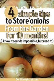 Curing And Storing Onions For 10 Months