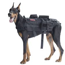 Kurgo Tru Fit No Pull Dog Harness And Easy Dog Walking