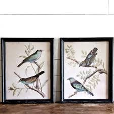 Aged Black Framed Bird Wall Decor Set