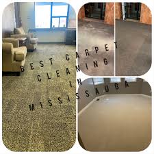 carpet cleaning toronto romy tile and