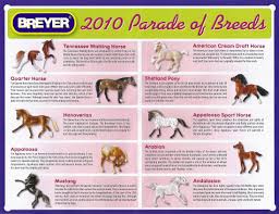 Identify Your Breyer 2010 Jcpenney Parade Of Breeds