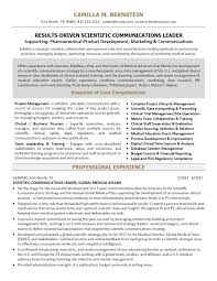 Examples Of Resumes   Resume Writing Services Top   Professional    