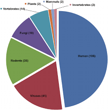 Pie Chart Of Species Distribution Of Entries In Validness