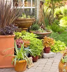 how to pot plants in containers reno