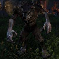 In 1997, sam writes an essay for english class about a werewolf hunt his family was on the previous summer. Online Werewolf The Unofficial Elder Scrolls Pages Uesp