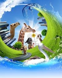 Resultado de imagen para relacion de la ecologia con la geologia