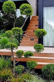 Auckland Landscape Designer Seed