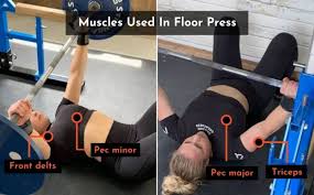floor press vs bench press differences