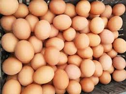 买鸡蛋是选大还是小的好呢？养殖户教你挑鸡蛋秘诀，别再买错了！ ＊ 阿波罗新闻网